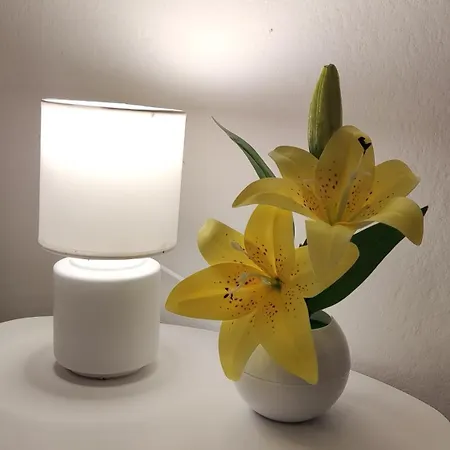 Διαμέρισμα Tarik